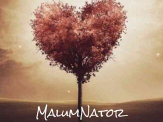 "uThando" by MalumNator Grabs Attention