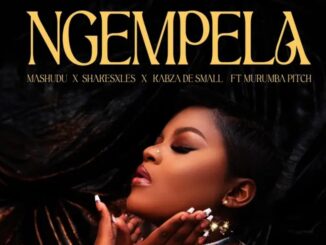 Mashudu, Kabza De Small, Shakes, and Les Enchant Audiences with 'Ngempela'