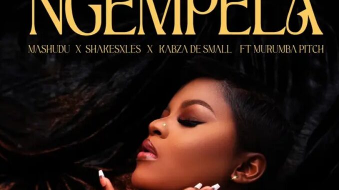 Mashudu, Kabza De Small, Shakes, and Les Enchant Audiences with 'Ngempela'